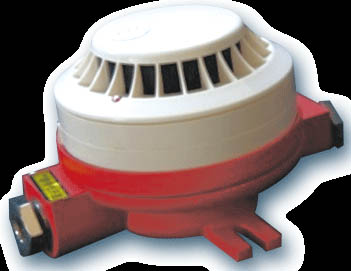 ����̽����